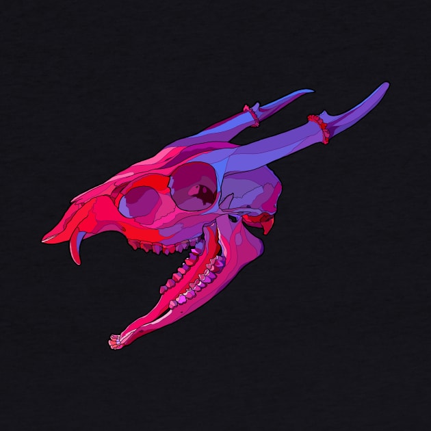 Muntjac Deer Skull by Tinker and Bone Studio